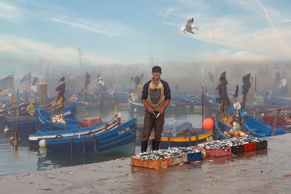 Essaouira, Fish Market