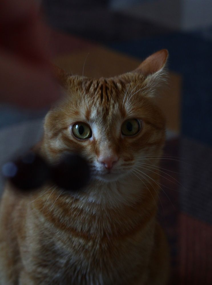 Photograph by Наталья Макаренкова