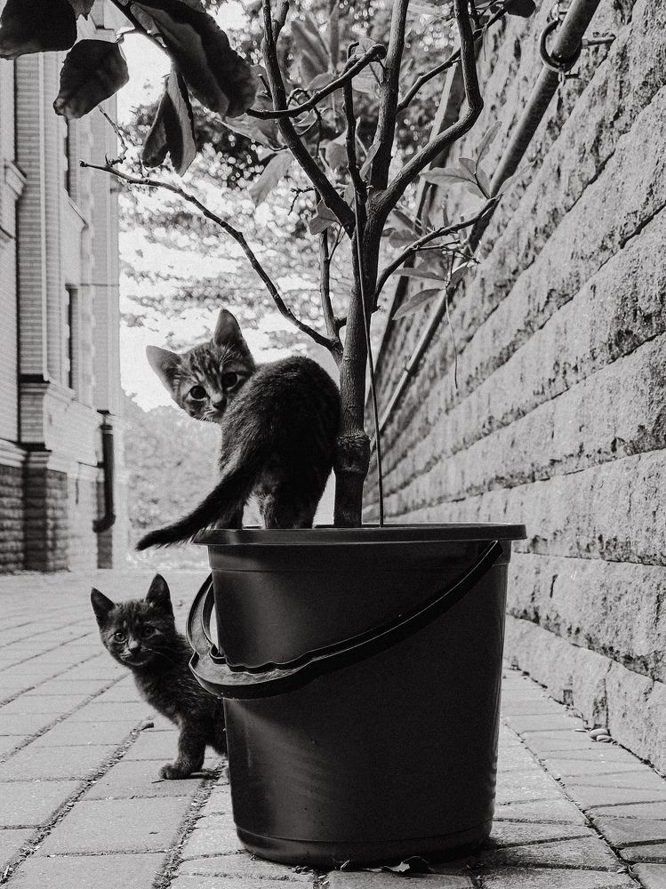 Photograph by Аленa Пономарева