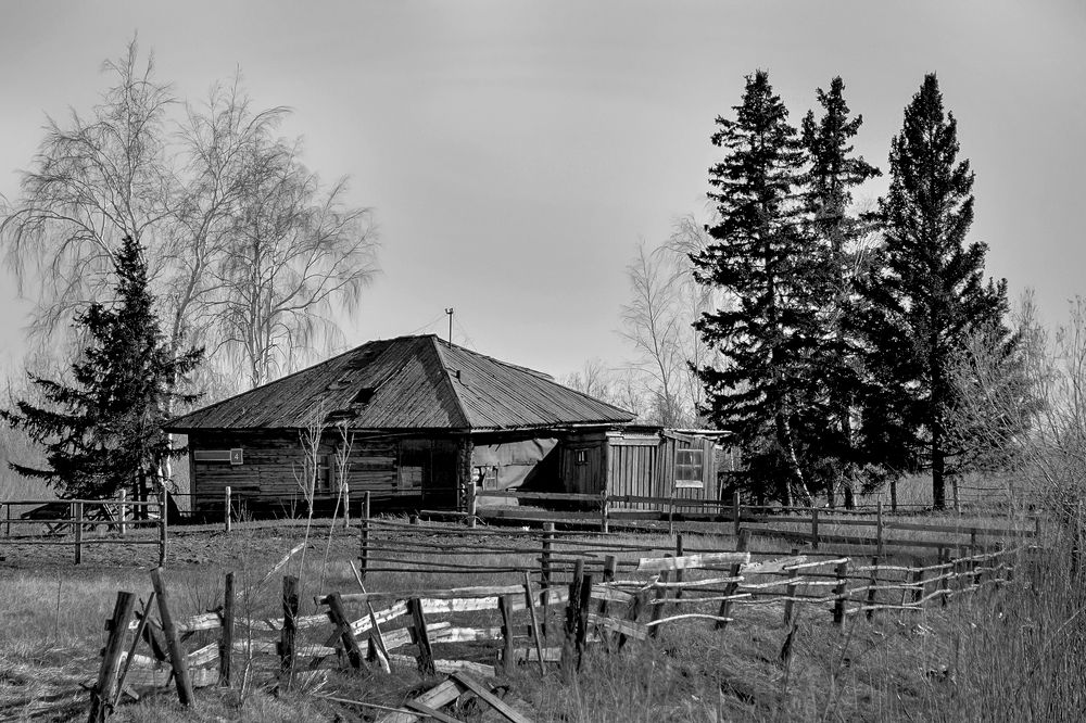 Photograph by Александр Шипиленко