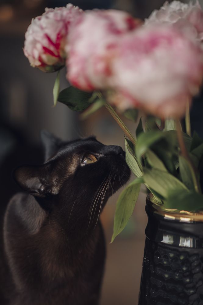 Photograph by Ольга Хентова