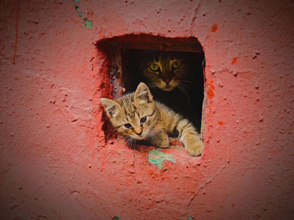 Photograph by Павел