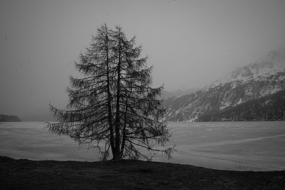 Фотография автора Martin Koudelka