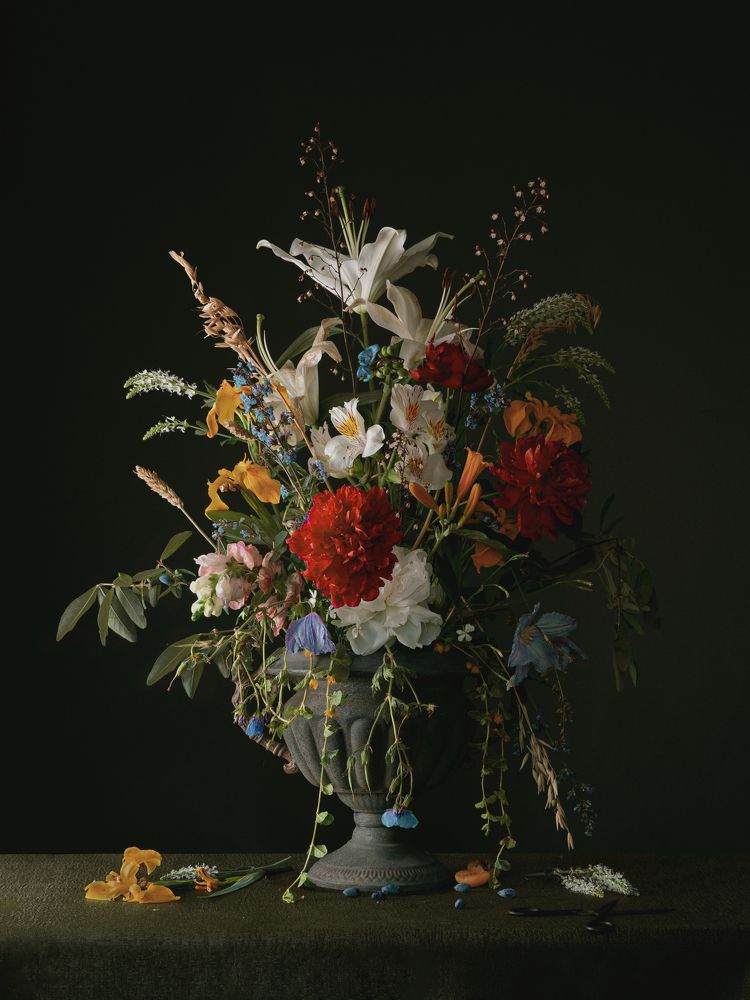 Photograph by Елена Бородина