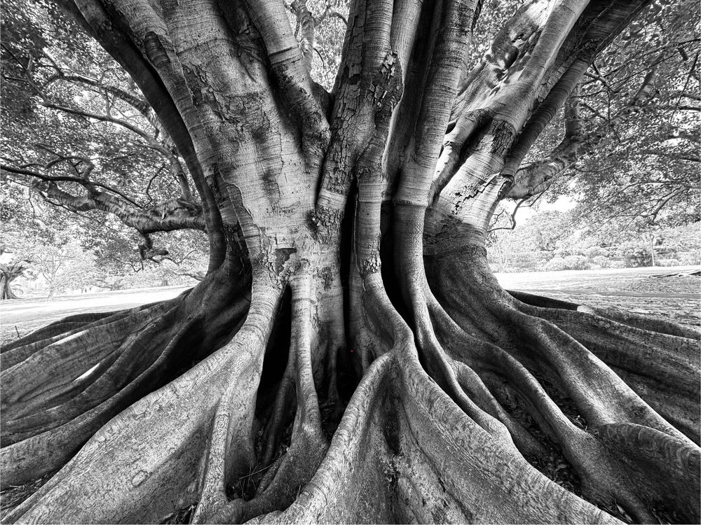 Photograph by Hung Nguyen