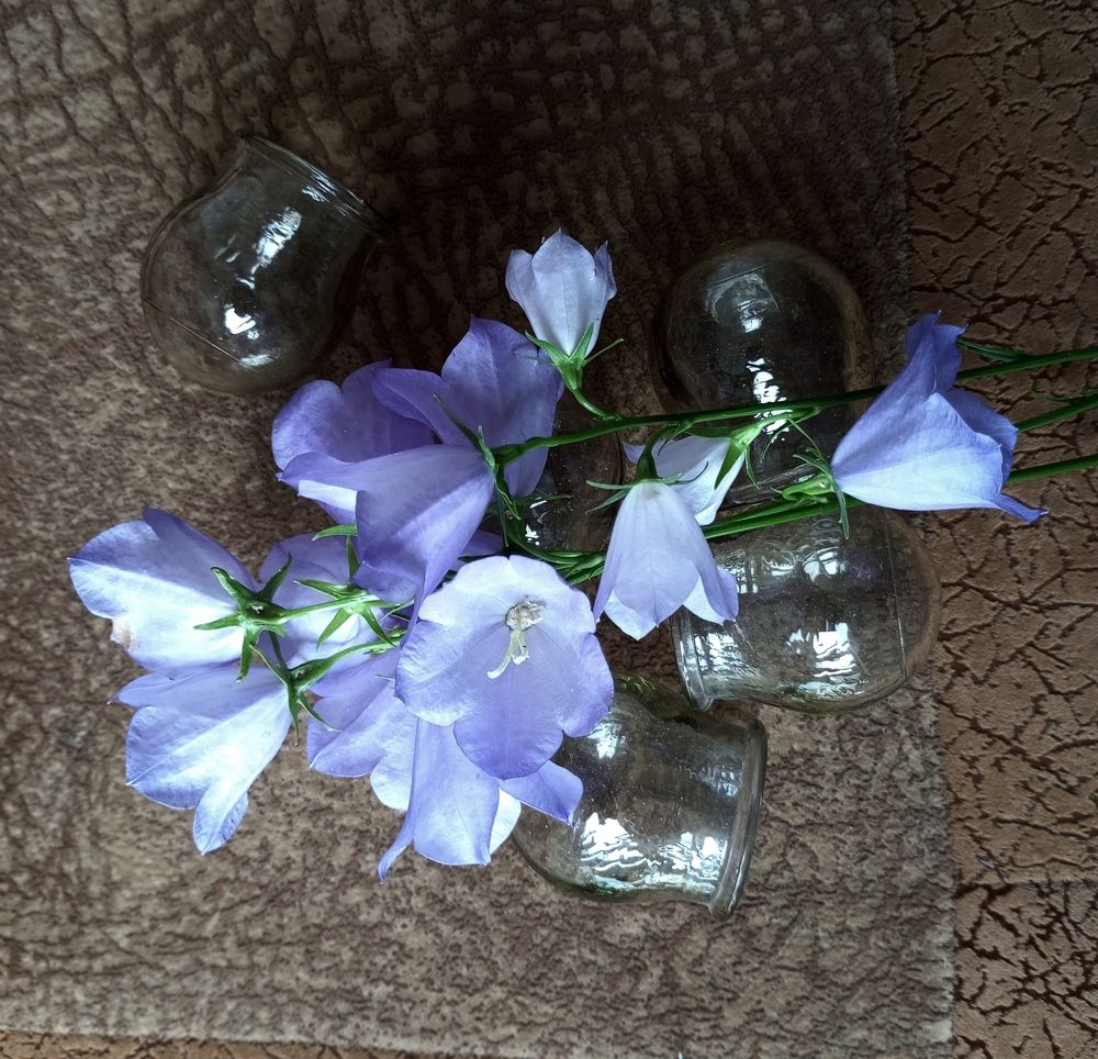 Photograph by Татьяна Кунц