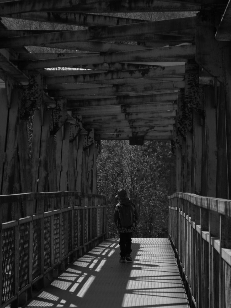 Photograph by Дарья Толстых