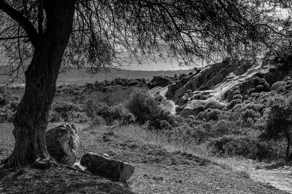 Photograph by Yulia Niki