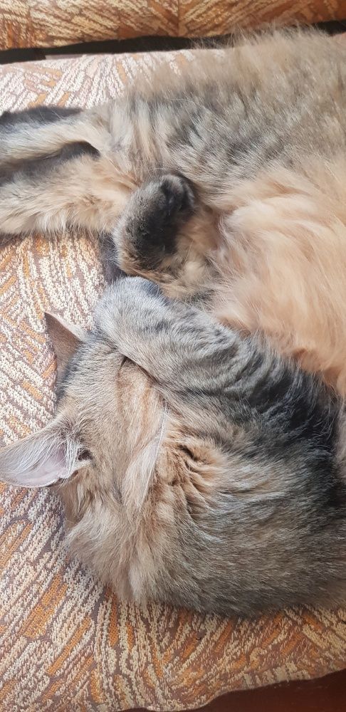 Фотография автора Ольга Мусина