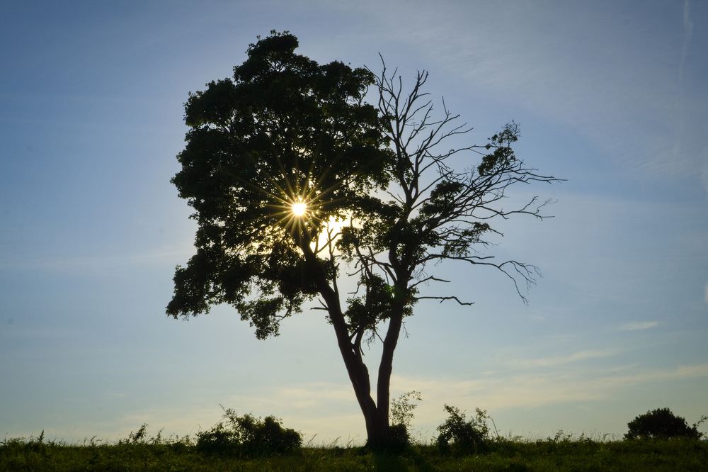 Photograph by Milan Cernak