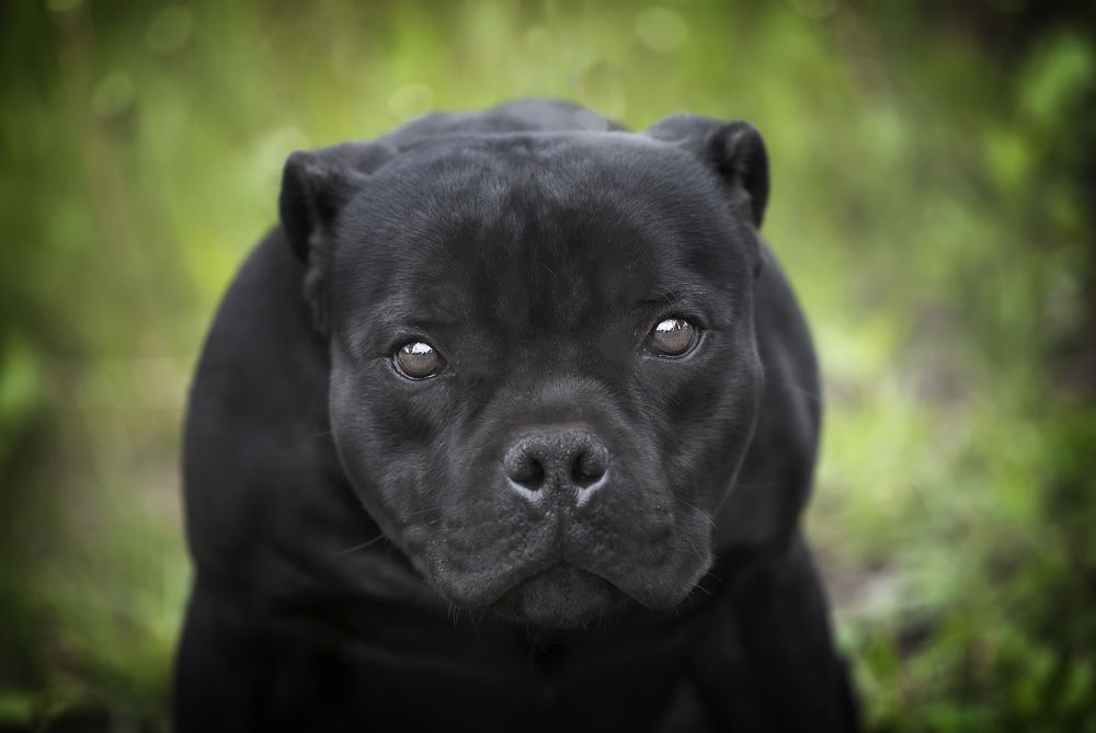 Photograph by Евгения Барановская