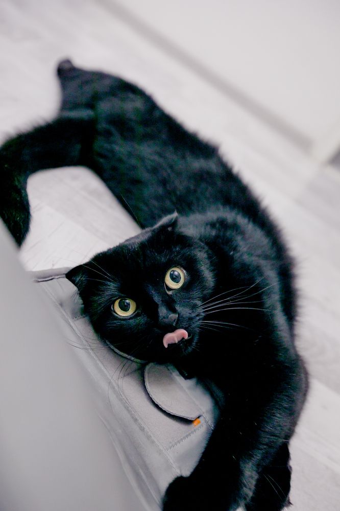 Photograph by Гаврильцова Светлана