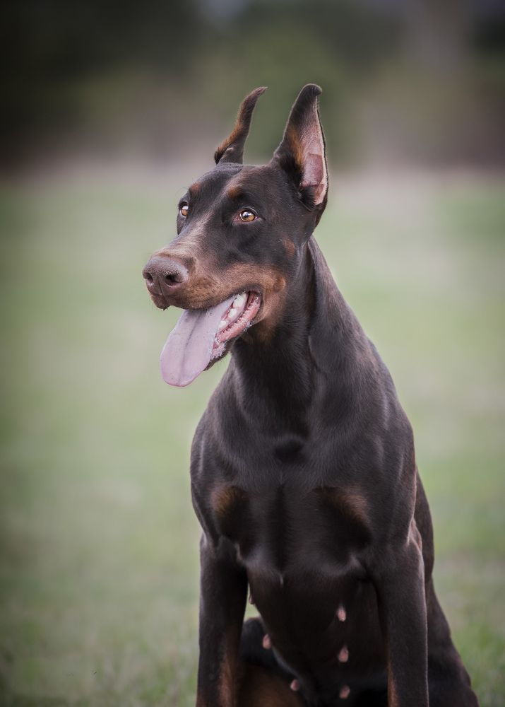 Photograph by Евгения Барановская