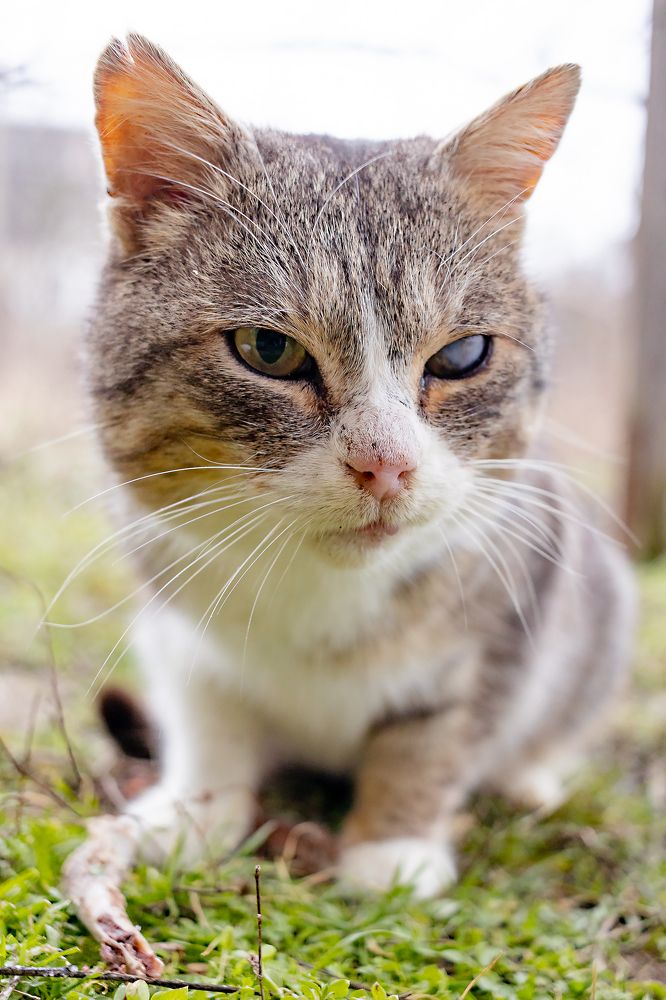 Photograph by Ольга Богданова