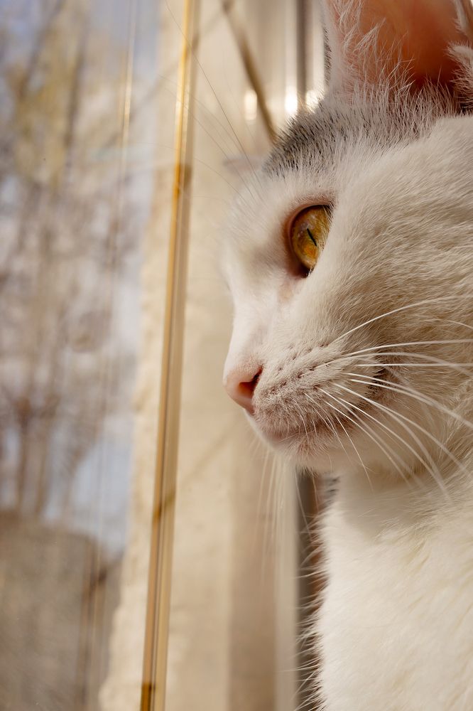 Photograph by Ольга Богданова