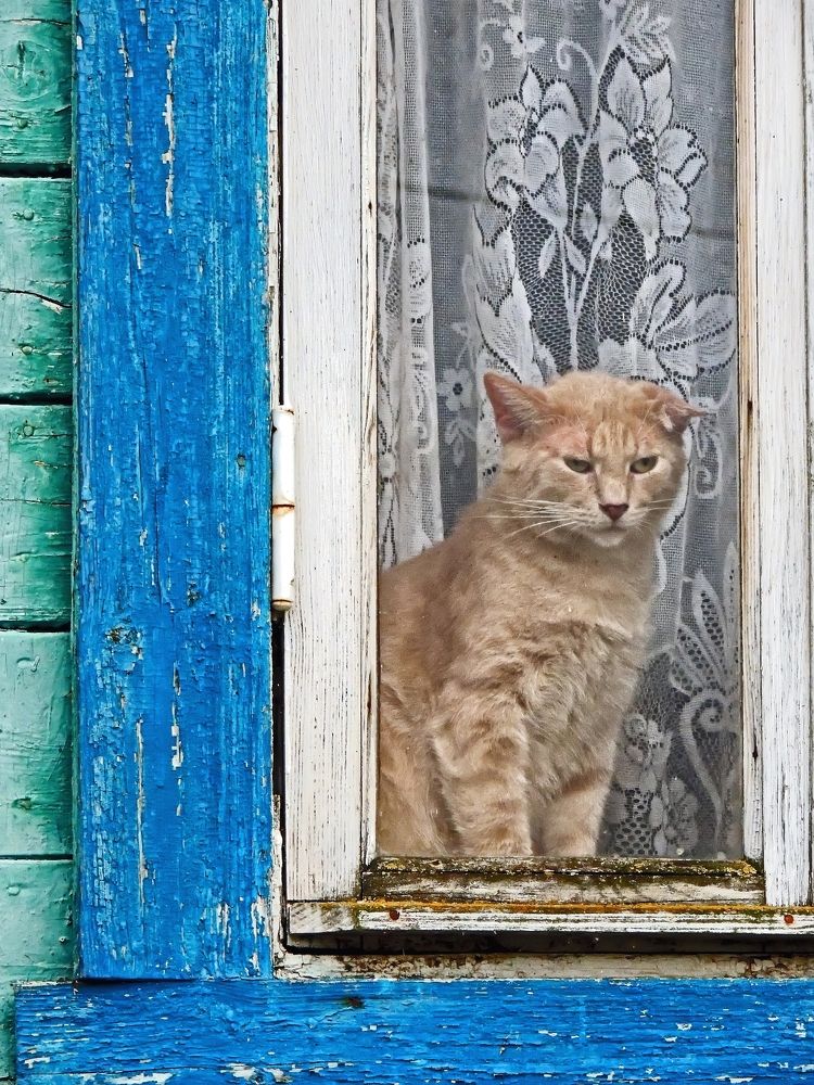 Photograph by Михаил Малец