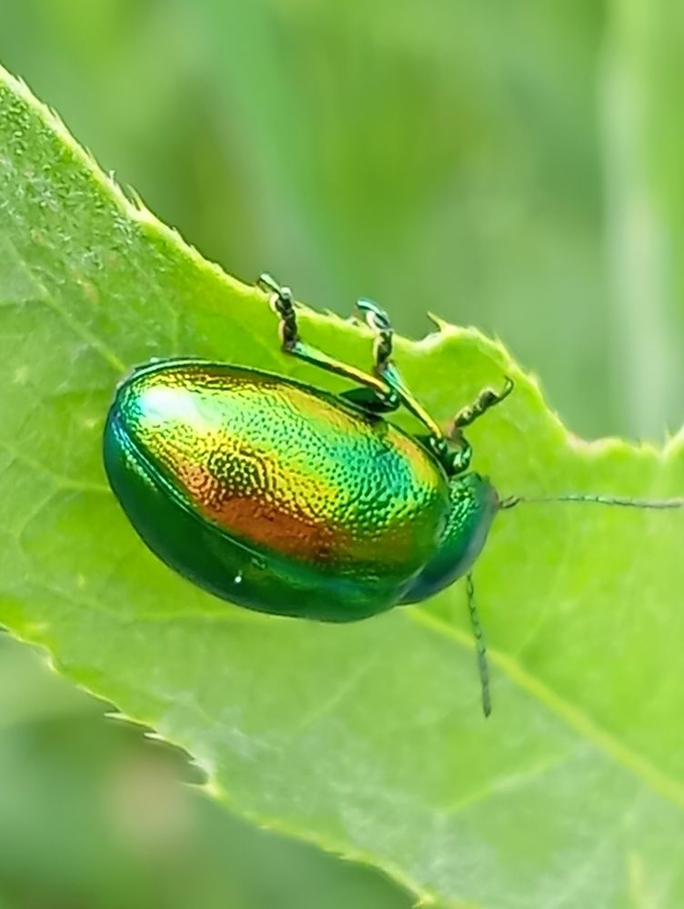 Photograph by Елена Коробченко