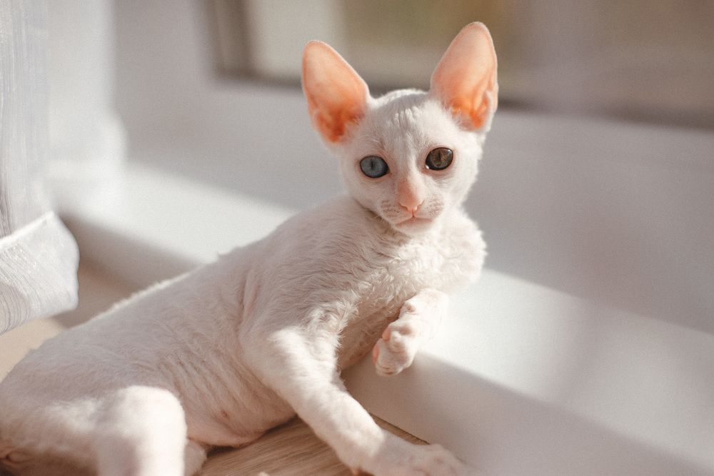 Photograph by Анна Бобкова