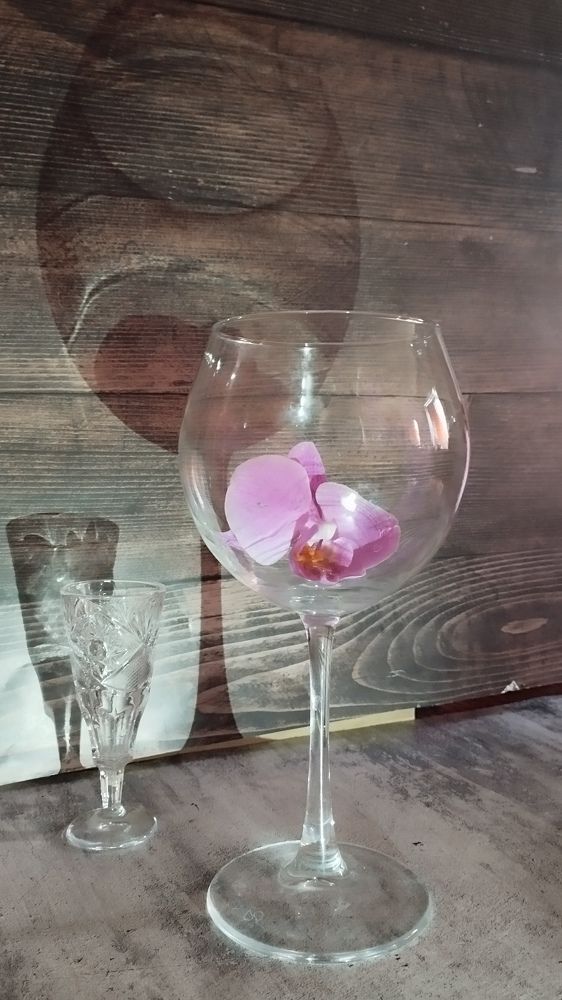 Photograph by Evgesha K