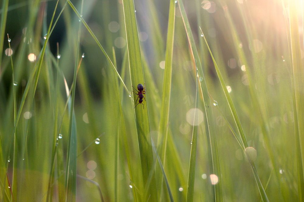 Photograph by Евсеева Валентина