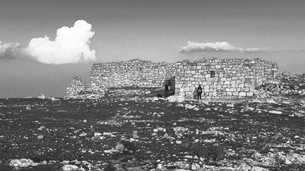 Photograph by Ali Abu Ras