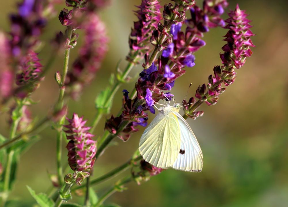 Photograph by Юрий Варюхин