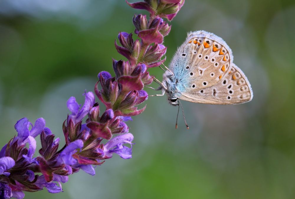 Photograph by Юрий Варюхин
