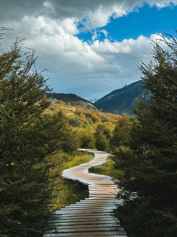 Photograph by Marina Zvada