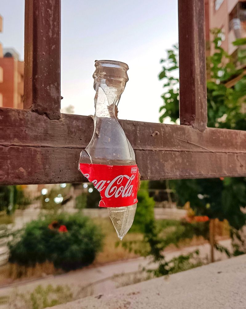 Photograph by Ehsan Etminan