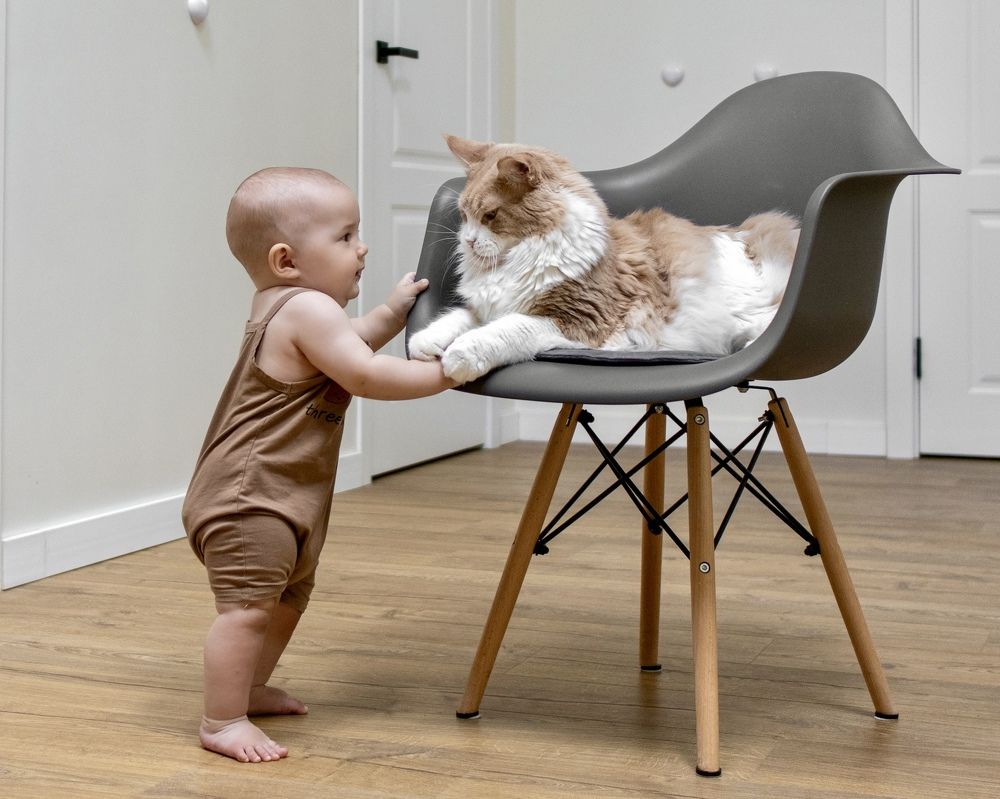 Photograph by Lyudmila Klimanova