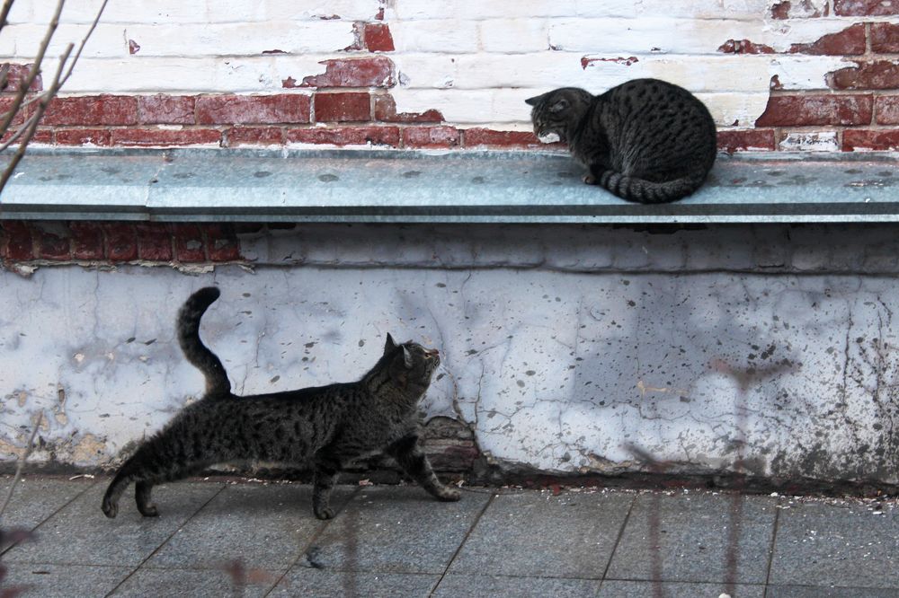 Photograph by Ольга Абугалиева