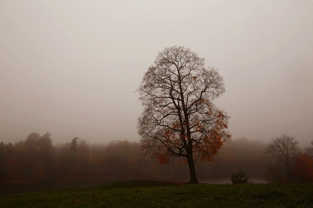 Фотография автора ОЛЬГА БУЛЫЧЕВА