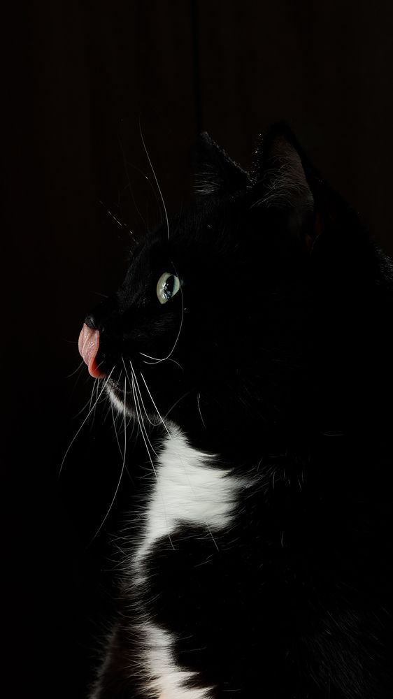 Photograph by Максим Дорошенко