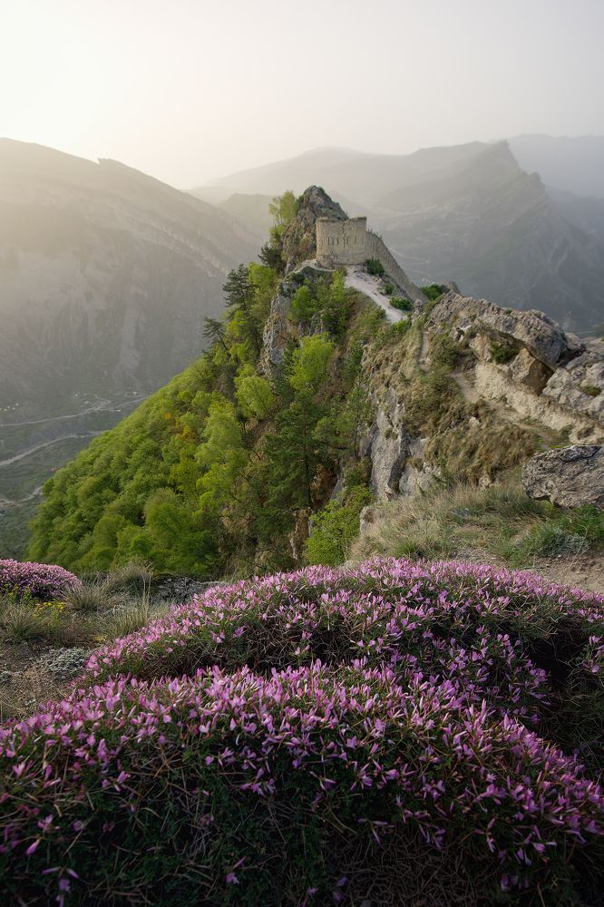 Фотография автора Ольга Белоусова