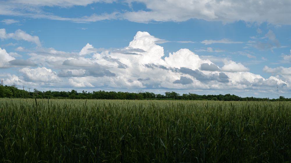 Photograph by Рыков Сергей