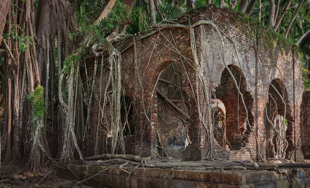 Photograph by Ольга Мусиенко