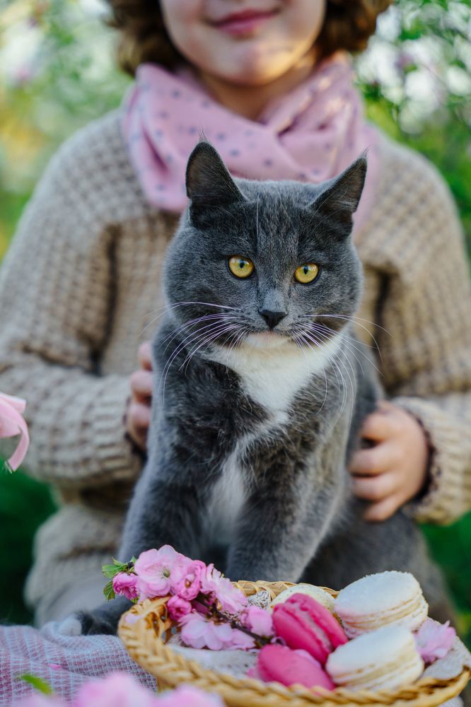 Photograph by Екатерина Чернова-Груздева