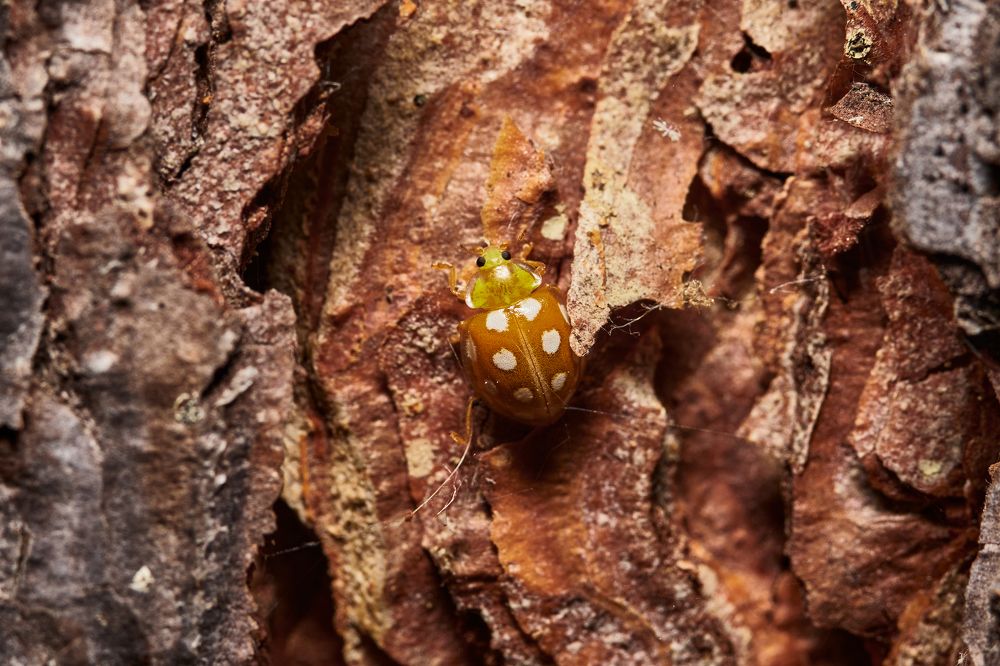 Фотография автора Игорь Игоревич