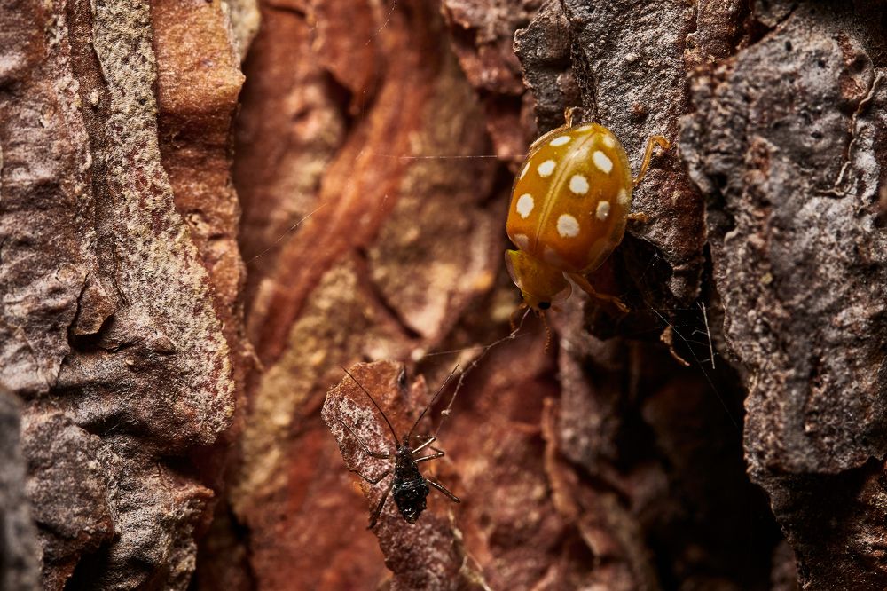 Фотография автора Игорь Игоревич