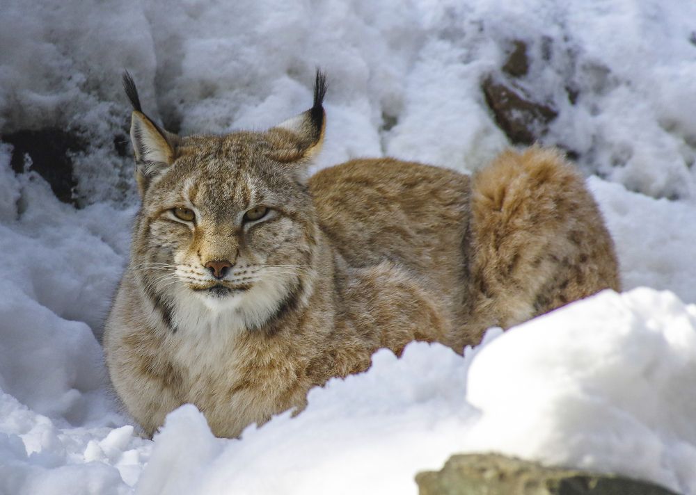 Photograph by Михаил Измайлов