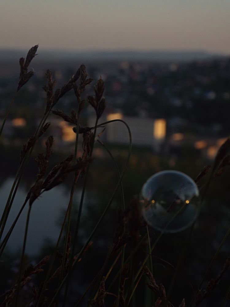 Photograph by Дарья Толстых