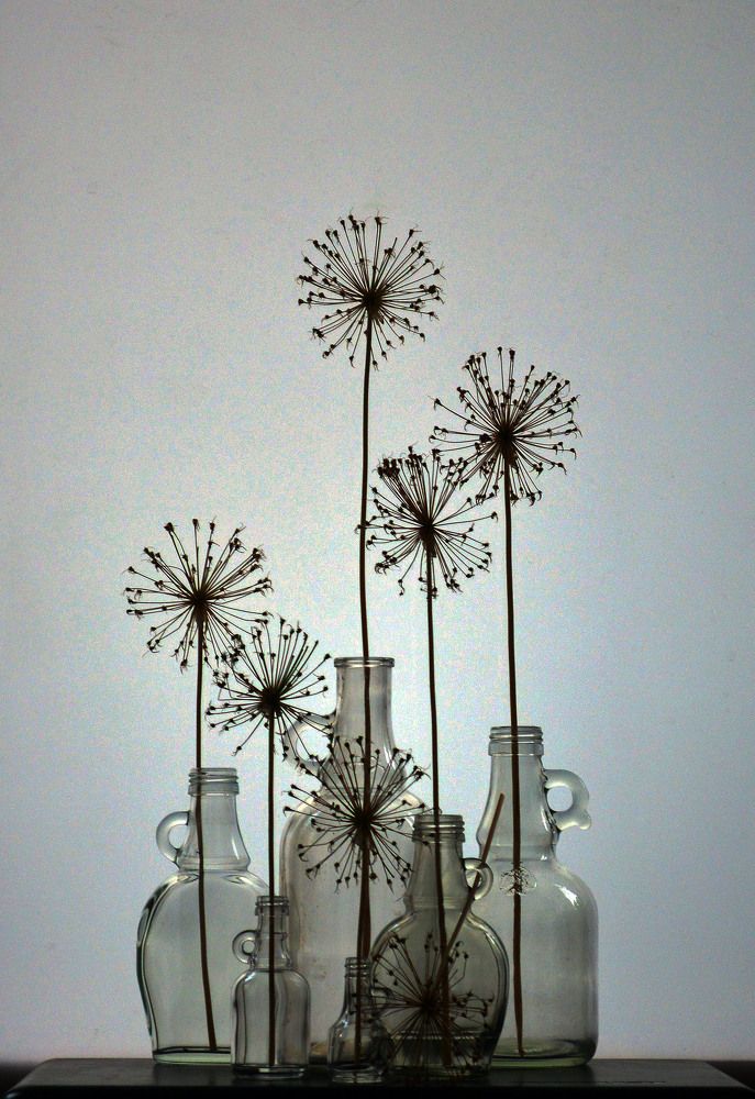 Photograph by Александр Зарх