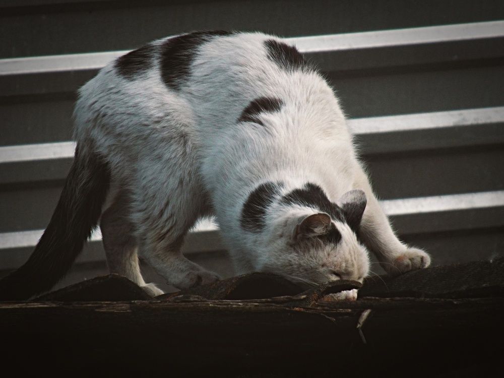 Photograph by Дарья Толстых