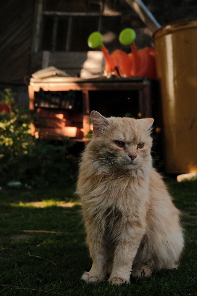 Photograph by Мария Тулякова