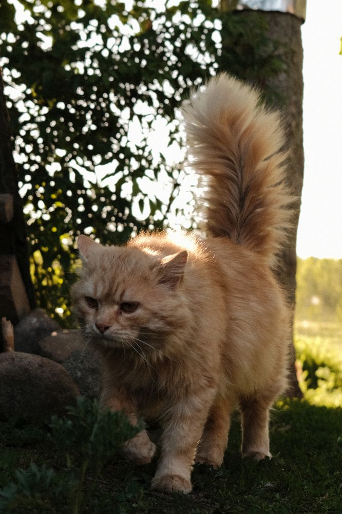 Photograph by Мария Тулякова