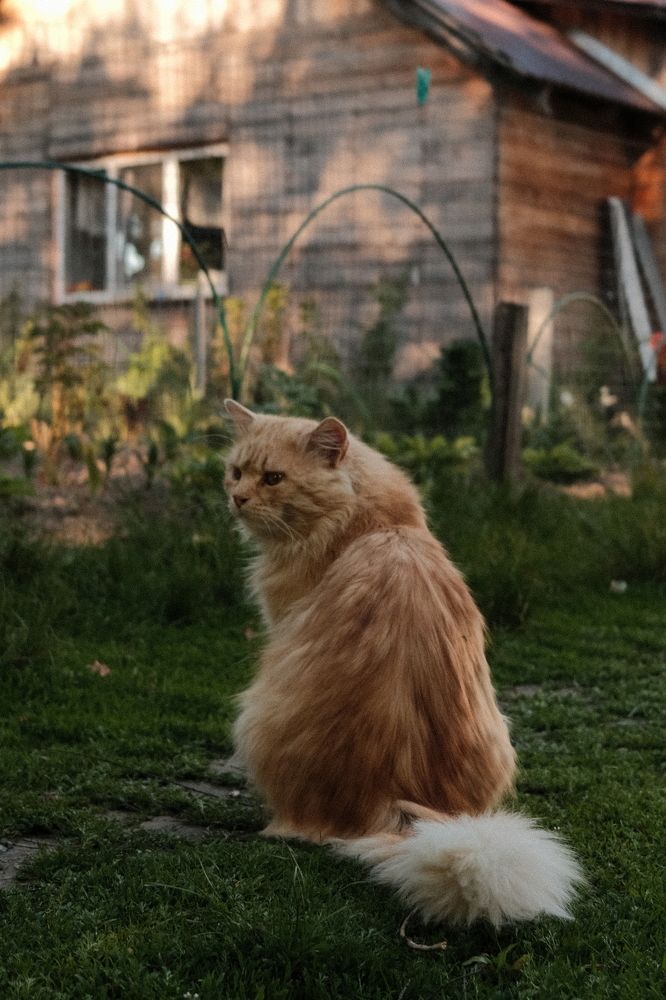 Photograph by Мария Тулякова