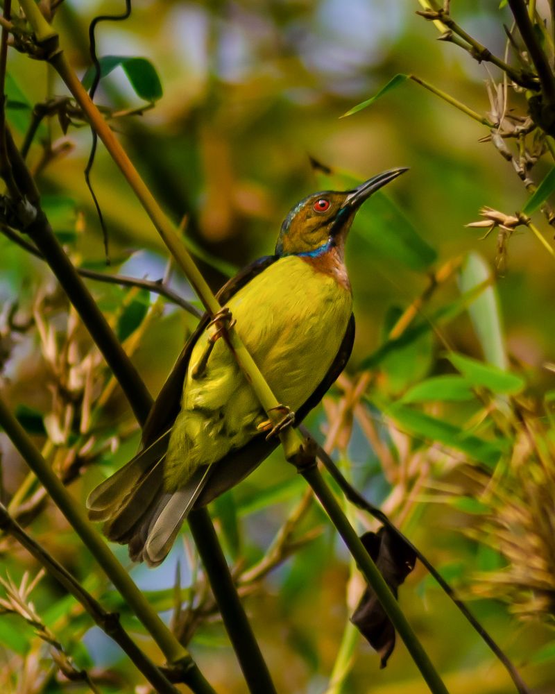 Photograph by Jaztin A/L Philips