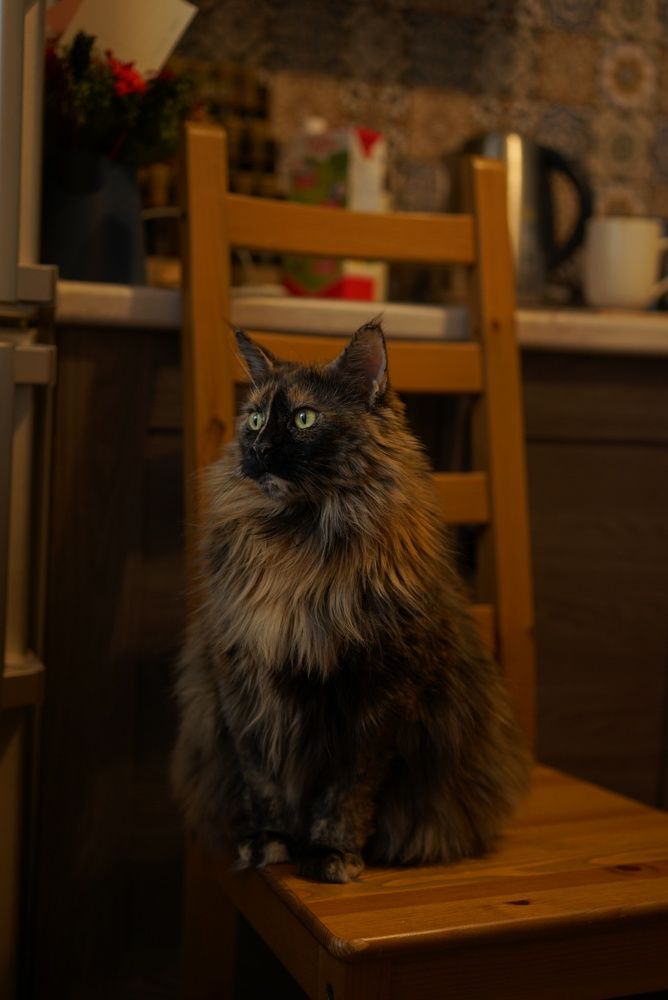 Photograph by Яна Королева