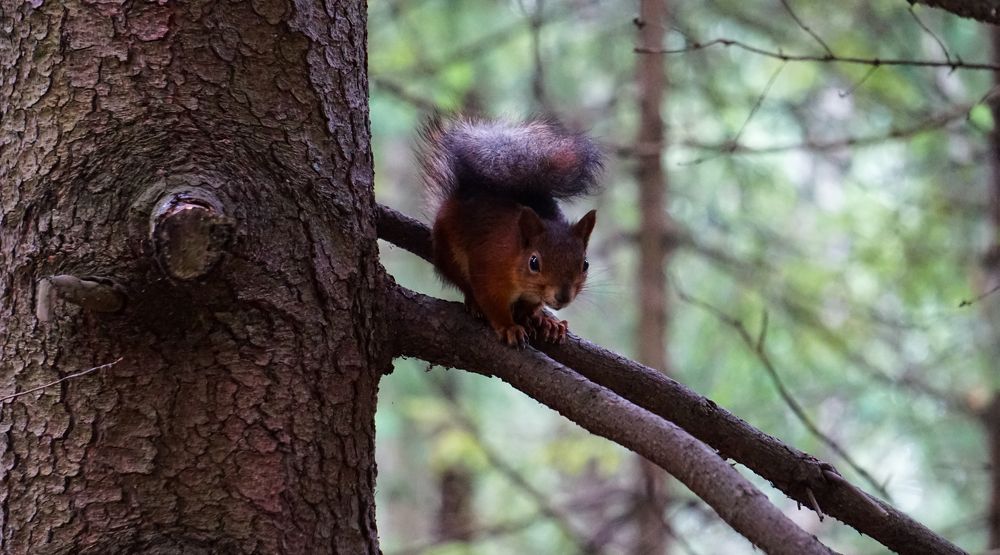Photograph by Виктория Смехова