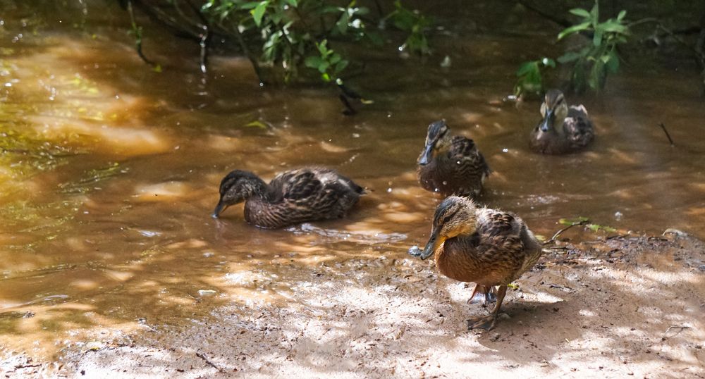 Photograph by Виктория Смехова